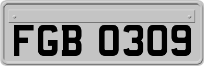 FGB0309