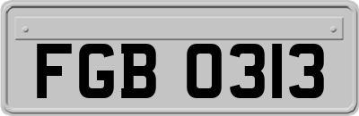 FGB0313