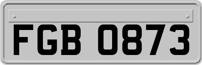 FGB0873
