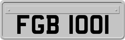 FGB1001