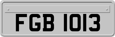 FGB1013