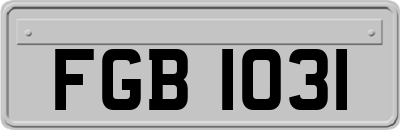 FGB1031