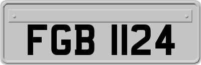 FGB1124