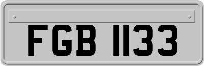 FGB1133