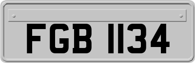 FGB1134