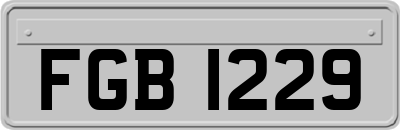 FGB1229