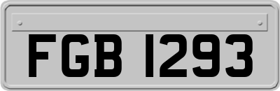 FGB1293