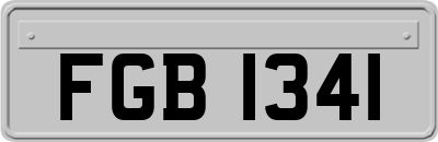FGB1341