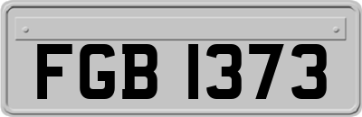 FGB1373