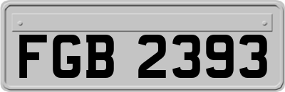 FGB2393