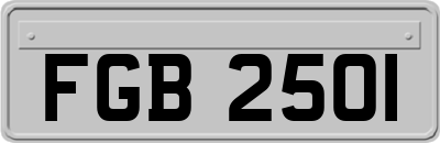 FGB2501