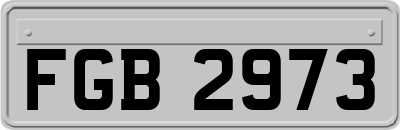 FGB2973