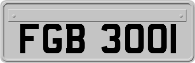 FGB3001