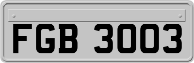 FGB3003