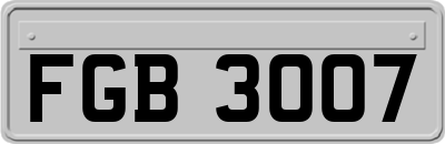 FGB3007