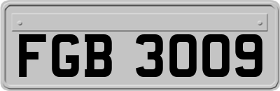 FGB3009