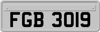 FGB3019