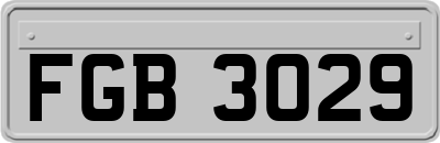 FGB3029