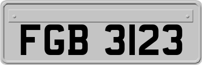 FGB3123