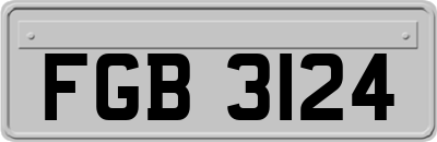 FGB3124