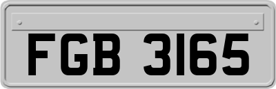 FGB3165