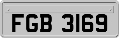FGB3169