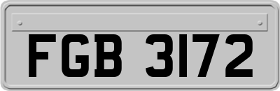 FGB3172