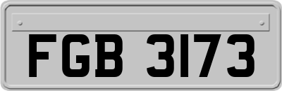 FGB3173