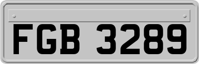 FGB3289