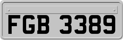 FGB3389