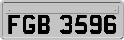 FGB3596