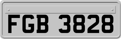 FGB3828