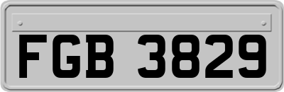 FGB3829