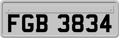FGB3834