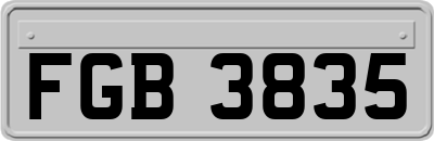 FGB3835
