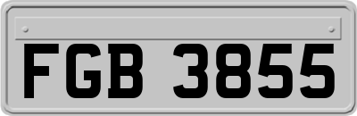 FGB3855