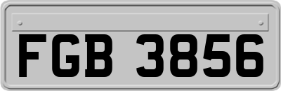 FGB3856