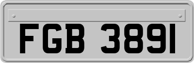 FGB3891