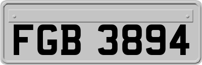 FGB3894