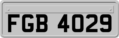 FGB4029