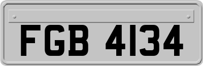 FGB4134