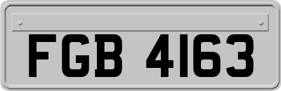 FGB4163