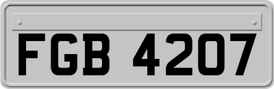 FGB4207