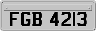 FGB4213