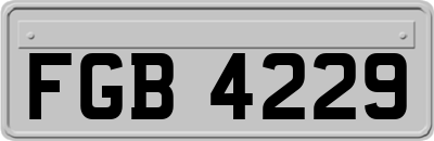 FGB4229