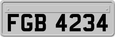 FGB4234