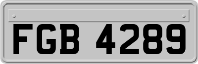 FGB4289