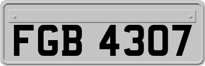 FGB4307