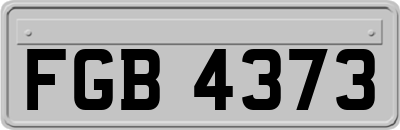 FGB4373