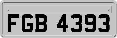 FGB4393